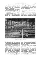 giornale/UM10003065/1933/unico/00000233