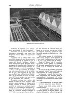 giornale/UM10003065/1933/unico/00000234