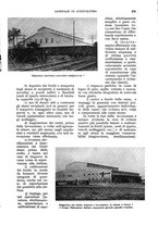 giornale/UM10003065/1933/unico/00000237