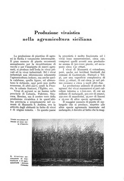 L'Italia agricola