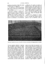 giornale/UM10003065/1933/unico/00000264