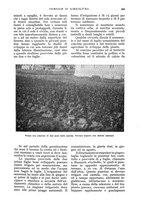 giornale/UM10003065/1933/unico/00000265