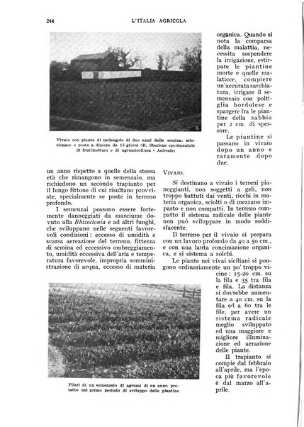 L'Italia agricola