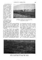 giornale/UM10003065/1933/unico/00000267