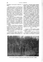 giornale/UM10003065/1933/unico/00000268