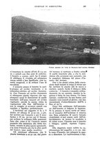 giornale/UM10003065/1933/unico/00000269