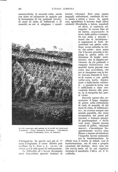 L'Italia agricola