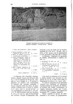 giornale/UM10003065/1933/unico/00000288