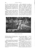 giornale/UM10003065/1933/unico/00000298