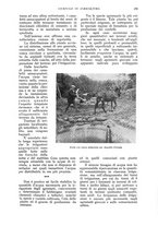 giornale/UM10003065/1933/unico/00000299