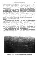 giornale/UM10003065/1933/unico/00000301