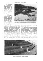 giornale/UM10003065/1933/unico/00000303