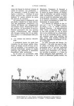 giornale/UM10003065/1933/unico/00000308