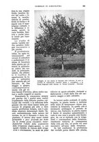 giornale/UM10003065/1933/unico/00000309