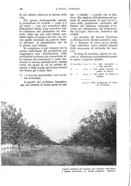 L'Italia agricola