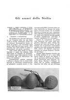 giornale/UM10003065/1933/unico/00000319