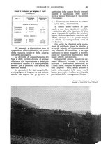 giornale/UM10003065/1933/unico/00000331