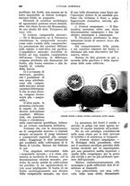 giornale/UM10003065/1933/unico/00000336