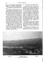 giornale/UM10003065/1933/unico/00000342