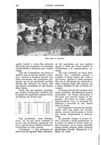 giornale/UM10003065/1933/unico/00000346