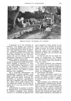 giornale/UM10003065/1933/unico/00000347