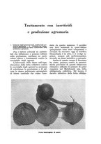 giornale/UM10003065/1933/unico/00000381