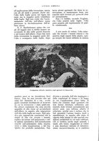 giornale/UM10003065/1933/unico/00000394