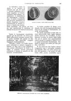 giornale/UM10003065/1933/unico/00000397