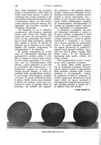 giornale/UM10003065/1933/unico/00000398