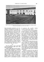 giornale/UM10003065/1933/unico/00000433