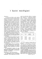 giornale/UM10003065/1933/unico/00000441