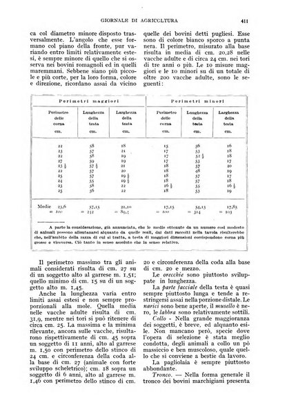 L'Italia agricola