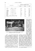 giornale/UM10003065/1933/unico/00000458