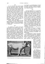 giornale/UM10003065/1933/unico/00000462