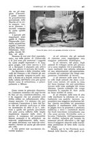 giornale/UM10003065/1933/unico/00000463