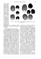 giornale/UM10003065/1933/unico/00000479