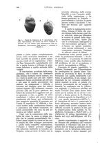 giornale/UM10003065/1933/unico/00000482