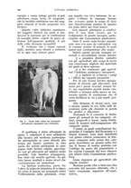 giornale/UM10003065/1933/unico/00000536