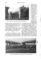 giornale/UM10003065/1933/unico/00000538