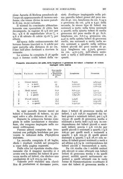 L'Italia agricola