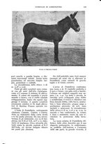 giornale/UM10003065/1933/unico/00000579