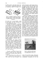 giornale/UM10003065/1933/unico/00000588