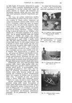 giornale/UM10003065/1933/unico/00000591