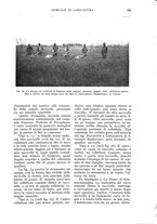 giornale/UM10003065/1933/unico/00000605