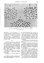 giornale/UM10003065/1933/unico/00000625