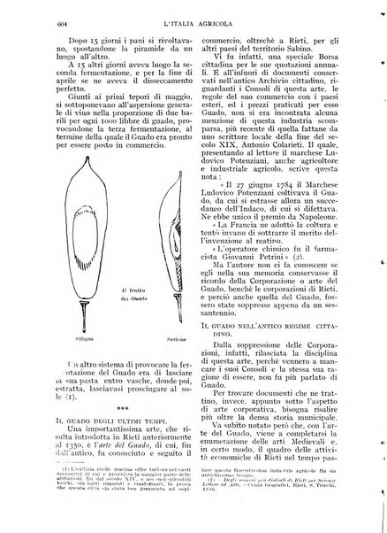 L'Italia agricola