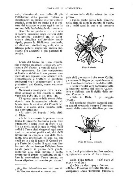 L'Italia agricola