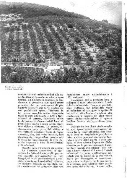 L'Italia agricola