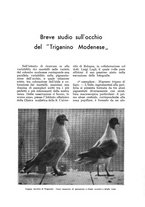 giornale/UM10003065/1933/unico/00000703