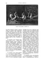 giornale/UM10003065/1933/unico/00000706